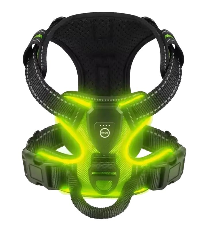 RadPaws LED Harness