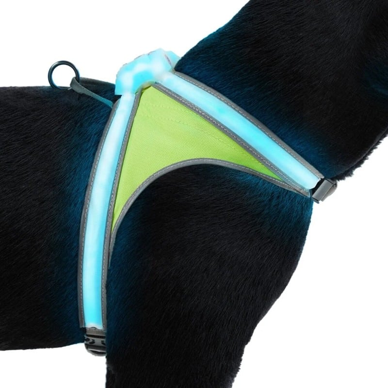 Illumiseen LED Dog Harness