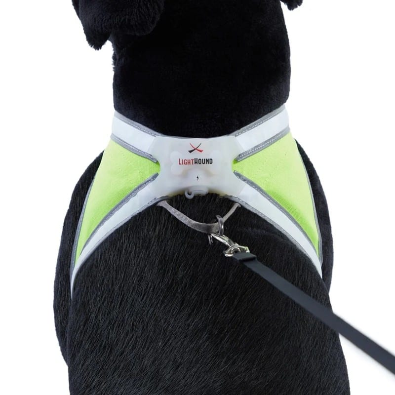 BSEEN LED Dog Harness