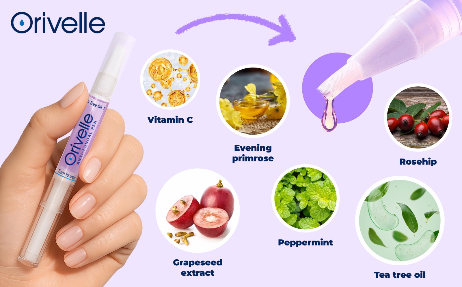 Orivelle ingredient illustration on purple background